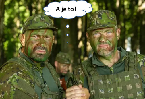 Pako a Mako